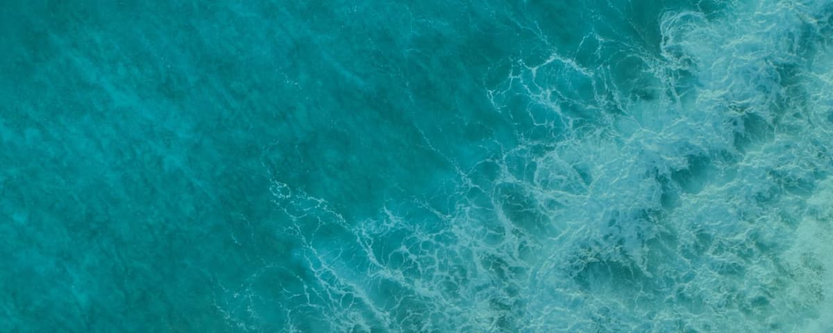 Nature Based Solutions